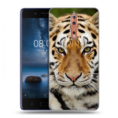 Дизайнерский пластиковый чехол для Nokia 8 Тигры