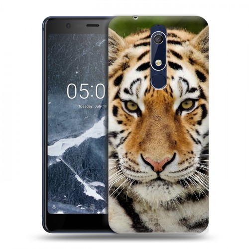 Дизайнерский пластиковый чехол для Nokia 5.1 Тигры