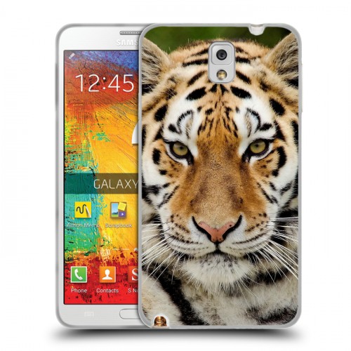 Дизайнерский пластиковый чехол для Samsung Galaxy Note 3 Тигры