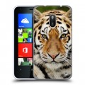 Дизайнерский пластиковый чехол для Nokia Lumia 620 Тигры