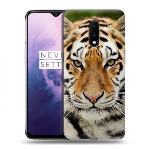 Дизайнерский пластиковый чехол для OnePlus 7 Тигры