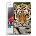 Дизайнерский пластиковый чехол для Sony Xperia E Тигры