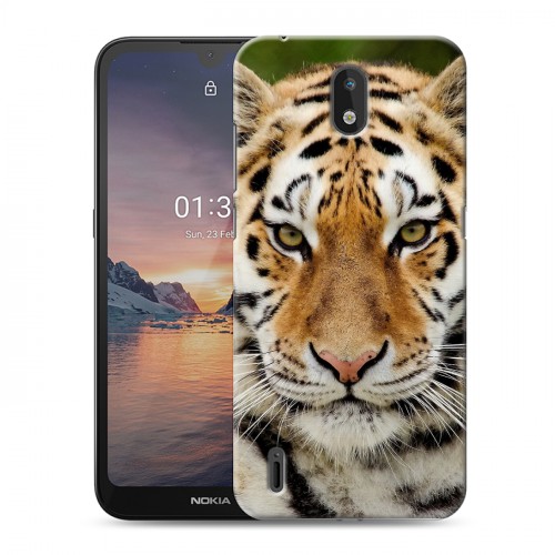 Дизайнерский силиконовый чехол для Nokia 1.3 Тигры