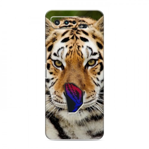 Дизайнерский силиконовый чехол для ASUS ROG Phone 5 Тигры