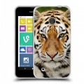 Дизайнерский пластиковый чехол для Nokia Lumia 530 Тигры