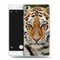 Дизайнерский пластиковый чехол для Lenovo S90 Тигры