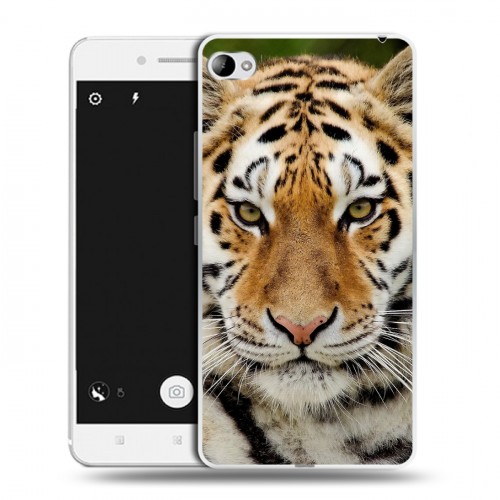 Дизайнерский пластиковый чехол для Lenovo S90 Тигры