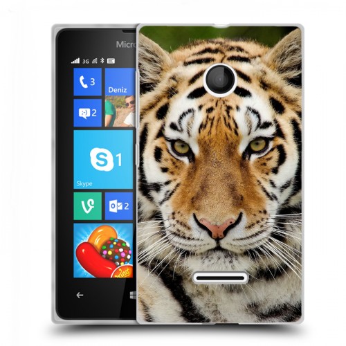 Дизайнерский пластиковый чехол для Microsoft Lumia 435 Тигры