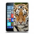 Дизайнерский силиконовый чехол для Microsoft Lumia 640 Тигры