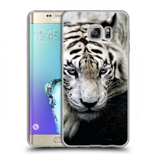 Дизайнерский пластиковый чехол для Samsung Galaxy S6 Edge Plus Тигры