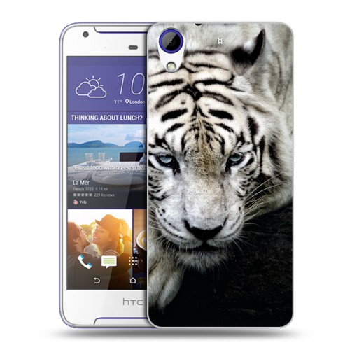 Дизайнерский пластиковый чехол для HTC Desire 830 Тигры