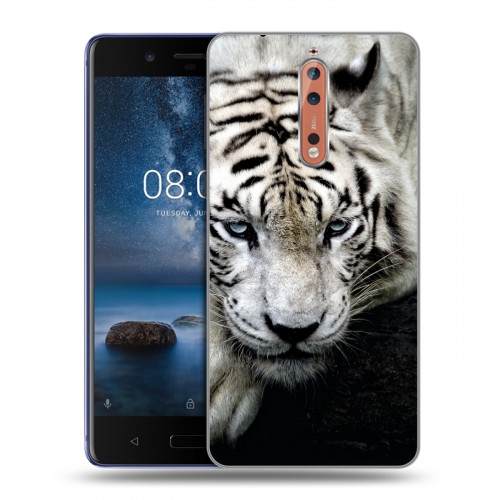 Дизайнерский пластиковый чехол для Nokia 8 Тигры