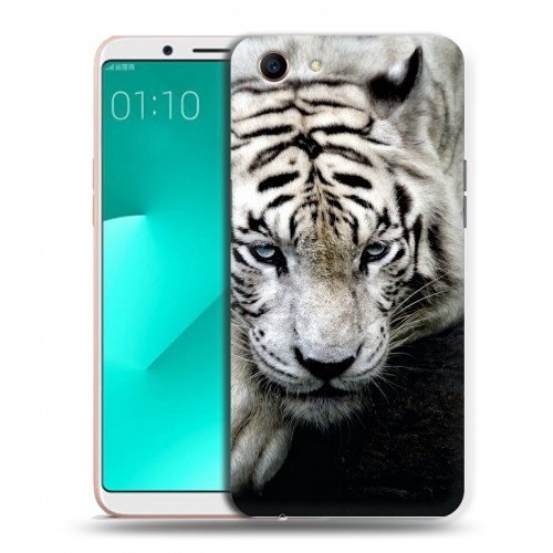 Дизайнерский пластиковый чехол для OPPO A83 Тигры