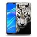 Дизайнерский пластиковый чехол для Huawei Y6 (2019) Тигры