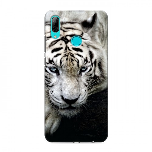 Дизайнерский пластиковый чехол для Huawei Y7 (2019) Тигры