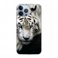 Дизайнерский пластиковый чехол для Iphone 13 Pro Max Тигры