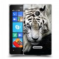 Дизайнерский пластиковый чехол для Microsoft Lumia 435 Тигры