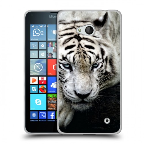 Дизайнерский пластиковый чехол для Microsoft Lumia 640 Тигры