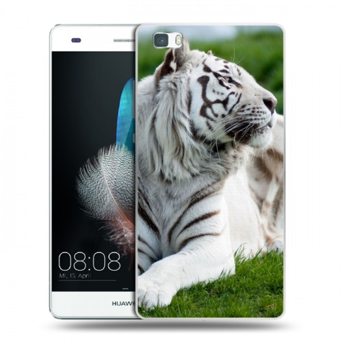Дизайнерский пластиковый чехол для Huawei P8 Lite Тигры