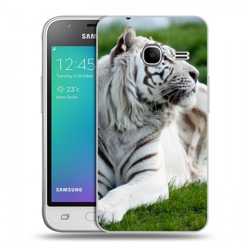 Дизайнерский силиконовый чехол для Samsung Galaxy J1 mini (2016) Тигры