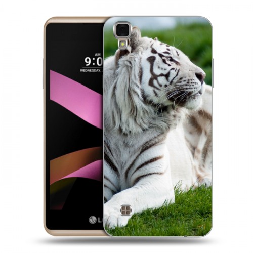 Дизайнерский пластиковый чехол для LG X Style Тигры