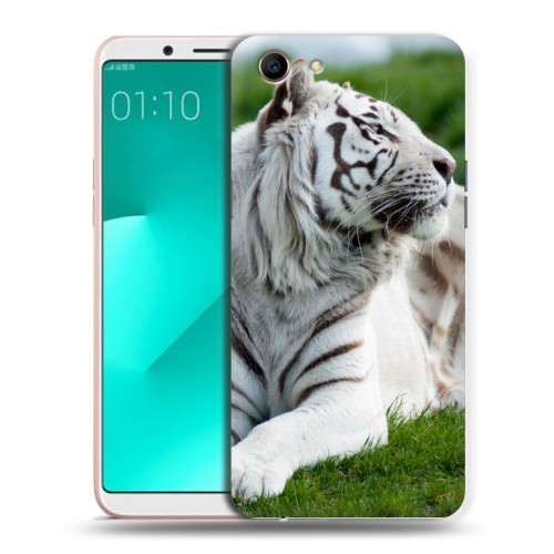 Дизайнерский пластиковый чехол для OPPO A83 Тигры