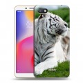 Дизайнерский пластиковый чехол для Xiaomi RedMi 6A Тигры