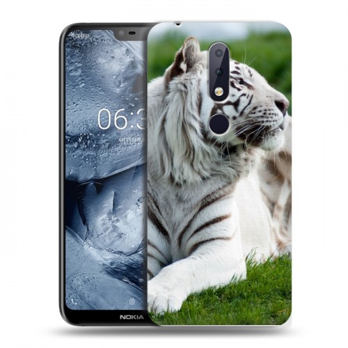 Дизайнерский пластиковый чехол для Nokia 6.1 Plus Тигры