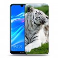 Дизайнерский пластиковый чехол для Huawei Y6 (2019) Тигры