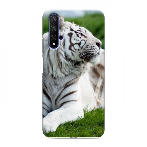 Дизайнерский силиконовый чехол для Huawei Honor 20 Тигры