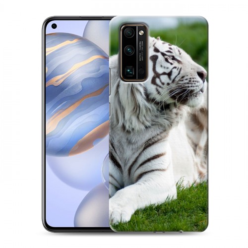 Дизайнерский силиконовый с усиленными углами чехол для Huawei Honor 30 Тигры