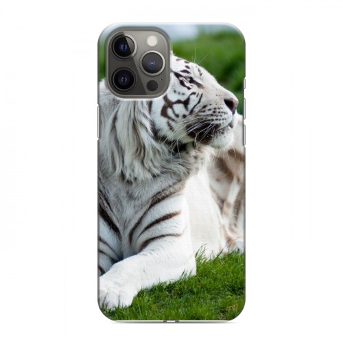 Дизайнерский силиконовый чехол для Iphone 12 Pro Max Тигры