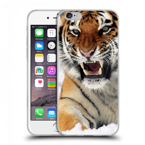 Дизайнерский пластиковый чехол для Iphone 6/6s Тигры