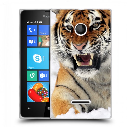 Дизайнерский пластиковый чехол для Microsoft Lumia 435 Тигры