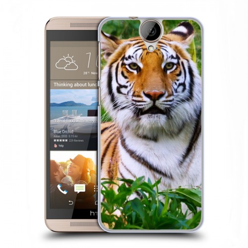 Дизайнерский пластиковый чехол для HTC One E9+ Тигры