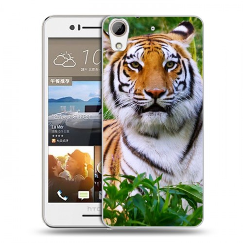 Дизайнерский пластиковый чехол для HTC Desire 728 Тигры