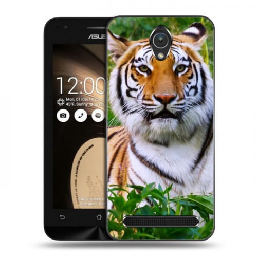 Дизайнерский пластиковый чехол для ASUS ZenFone Go 4.5 Тигры