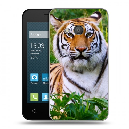 Дизайнерский силиконовый чехол для Alcatel One Touch Pixi 4 (4) Тигры