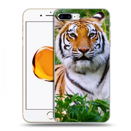 Дизайнерский силиконовый чехол для Iphone 7 Plus / 8 Plus Тигры