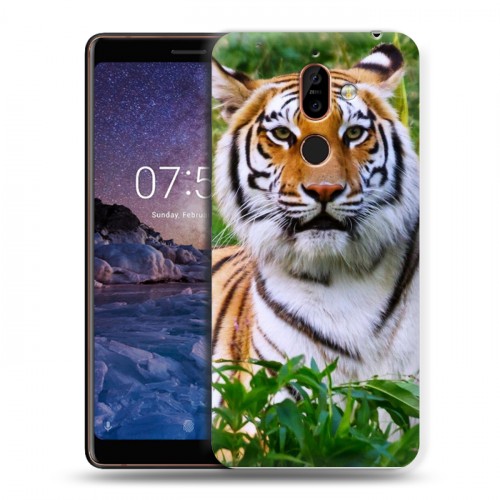 Дизайнерский пластиковый чехол для Nokia 7 Plus Тигры