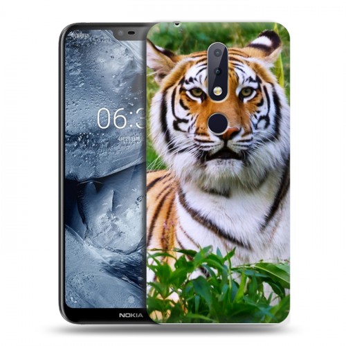 Дизайнерский пластиковый чехол для Nokia 6.1 Plus Тигры