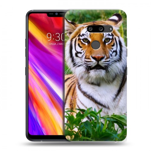 Дизайнерский пластиковый чехол для LG G8 ThinQ Тигры