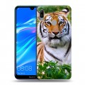 Дизайнерский пластиковый чехол для Huawei Y6 (2019) Тигры