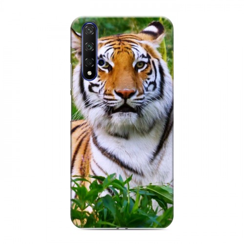 Дизайнерский силиконовый чехол для Huawei Honor 20 Тигры