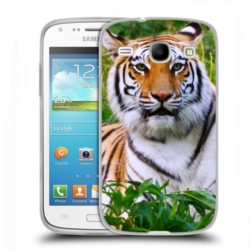 Дизайнерский пластиковый чехол для Samsung Galaxy Core Тигры