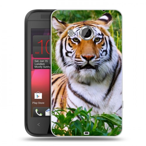 Дизайнерский пластиковый чехол для HTC Desire 200 Тигры