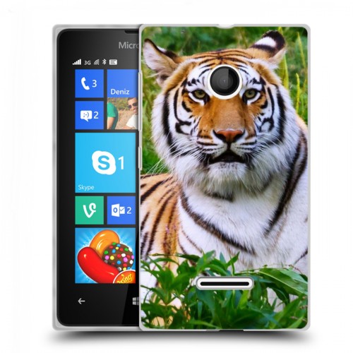 Дизайнерский пластиковый чехол для Microsoft Lumia 435 Тигры