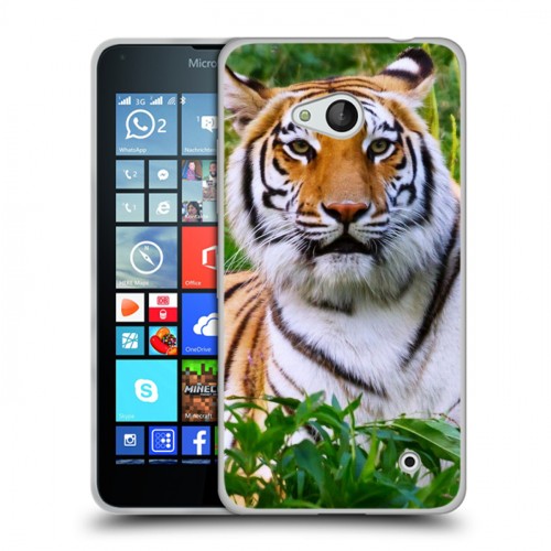 Дизайнерский силиконовый чехол для Microsoft Lumia 640 Тигры