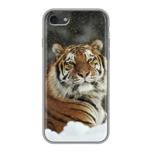 Дизайнерский силиконовый с усиленными углами чехол для Iphone 7 Тигры