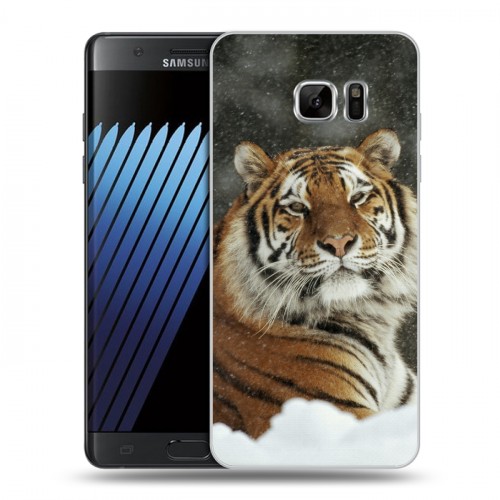 Дизайнерский пластиковый чехол для Samsung Galaxy Note 7 Тигры